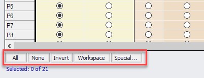 Selection features for the Sizing Assignments panel are located at the bottom of the table.
